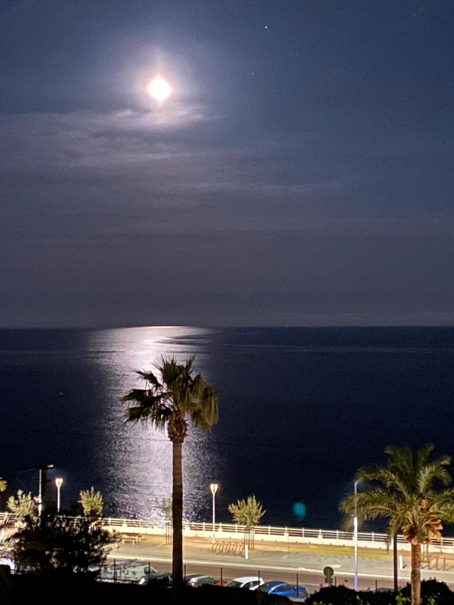 Bord De Mer, Terrasse, Tout A Pieds Cannes Exterior foto